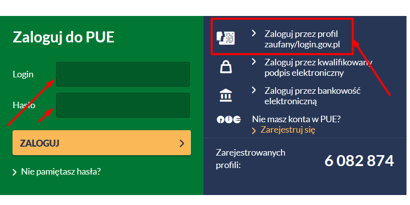 каникулы в ZUS 2025-2026 портал PUE ZUS